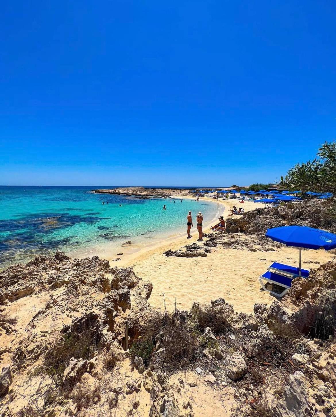 Dome Beach Marina Hotel & Resort Ayia Napa Eksteriør billede